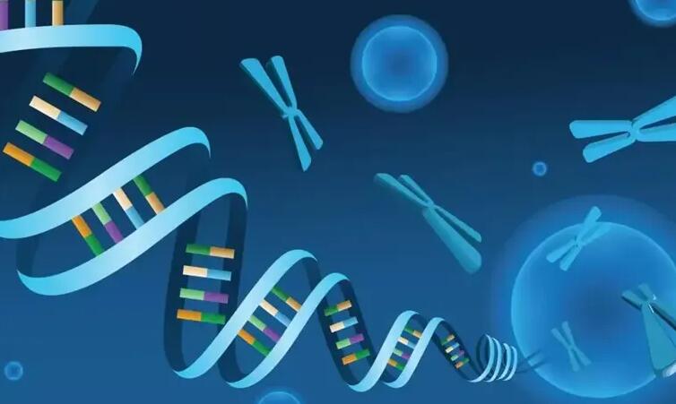 芜湖供卵试管 2023芜湖试管费用纳入医保了吗？ ‘营口伊人26周四维看男女准么’