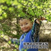 准备500元给胎儿做地贫筛查够了吗？_1gPSh