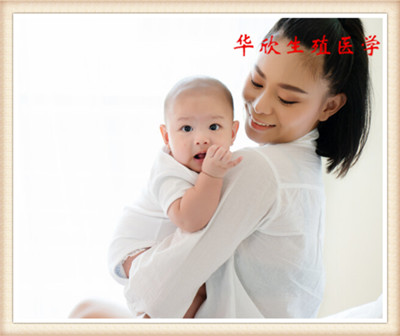 供卵助孕,供卵试管费用