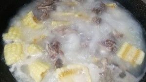 走出舒适圈，体验世界多样性