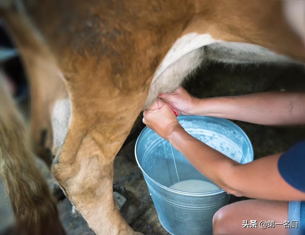赴美产子优势揭秘:全方位解析其独特魅力