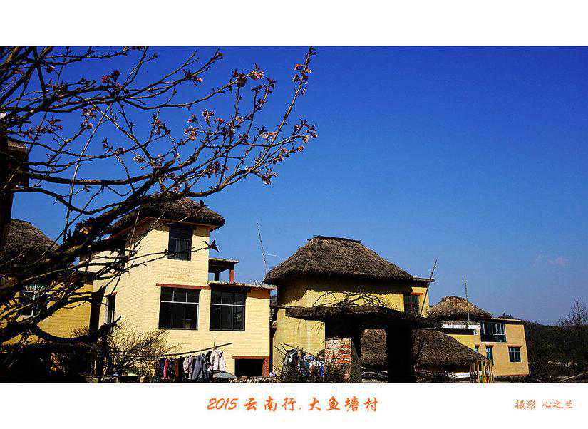 地中海贫血:疾病的全面解析与严重性探讨