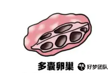 三代试管哪里找,代生网站