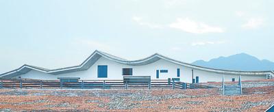 3岁孩子适合参加哪些体育活动？体育活动推荐与注意事项