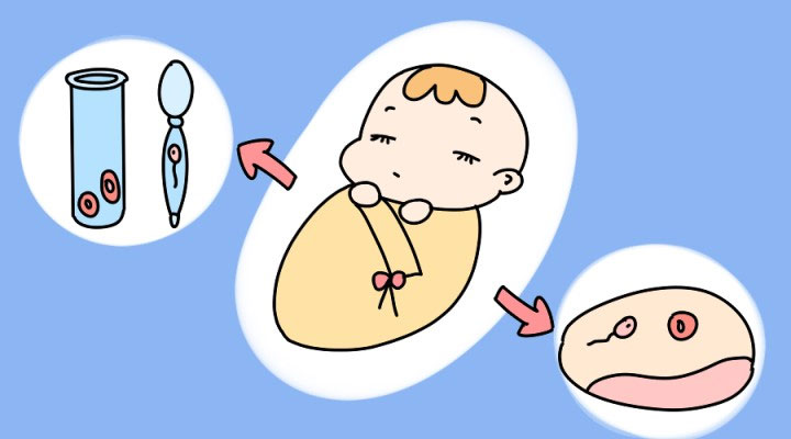 安琪儿做试管的具体流程