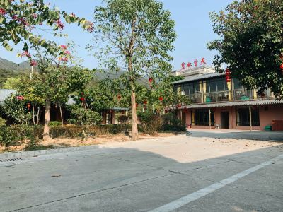 高龄女性备孕指南：不可忽视的5大准备事项