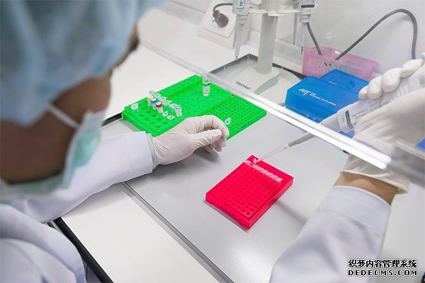 乌克兰三代试管技术费用概览，大概由两部分组成
