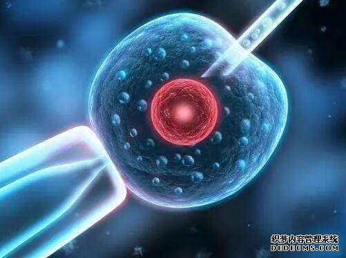 2023三代试管生男生女费用介绍，及影响成功率的因素