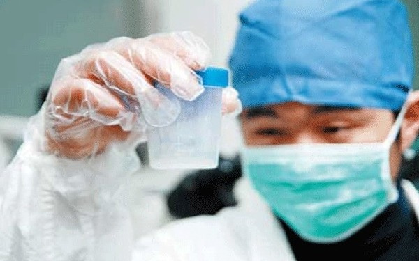 试管胚胎等级4ab都是男宝宝吗?4ab和4bb生男孩的概率