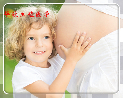 试管代生网,试管供卵