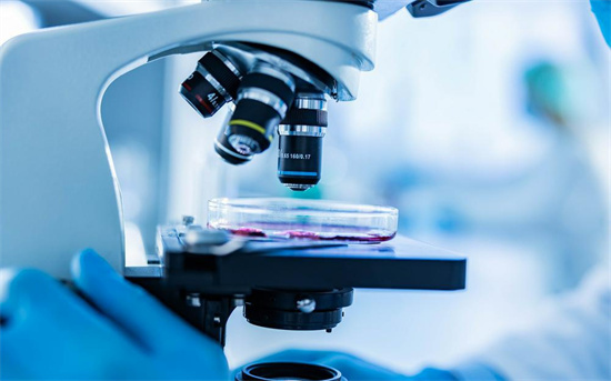 3pn胚胎是精子还是卵子有问题？3pn胚胎可不可以试管养囊