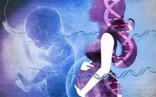 深圳各年龄段女性做试管成功率讲解！附2025深圳试管婴儿医院列表