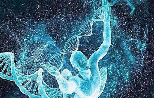 8细胞1级胚胎是不是优质的？解读8c1胚胎移植后的成功率多少