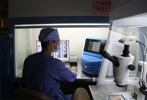 试管养囊成功的都是优质胚胎吗？附胚胎分级与养囊成功率的数据介绍