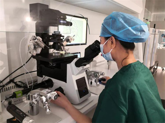 试管囊胚和冻囊胚着床速度有何区别？冻胚与囊胚哪个着床率更高