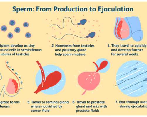 谁适合做第二代试管婴儿？了解它的好处和不足