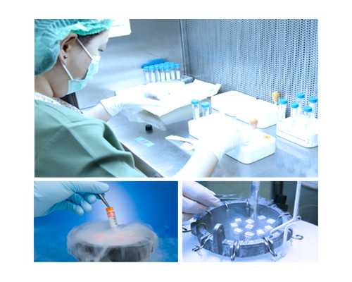 在成都做试管婴儿要花多少钱？流程是怎样的？