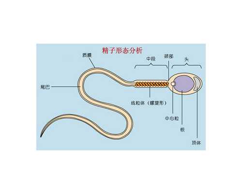 承德做试管婴儿要花多少钱，以及需要注意什么