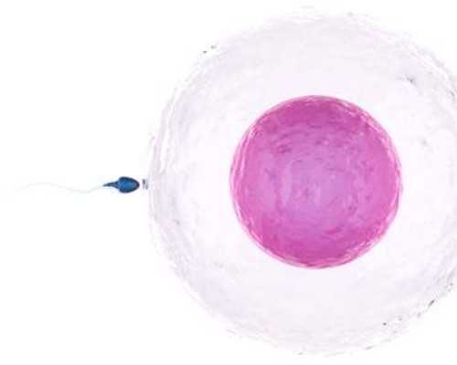 甘肃做试管婴儿，选哪家医院更合适