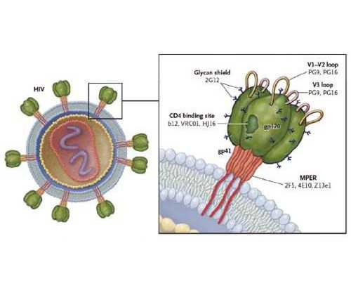 在赣州做试管婴儿要花多少钱？怎么省钱更划算