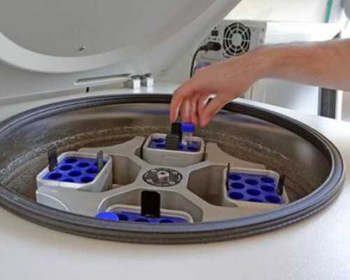 生三胎能拿多少补助？申请条件和流程全知道