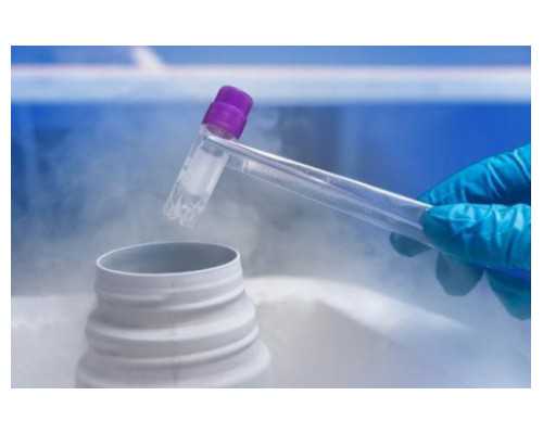 验孕棒怎么用才准？手把手教你正确操作