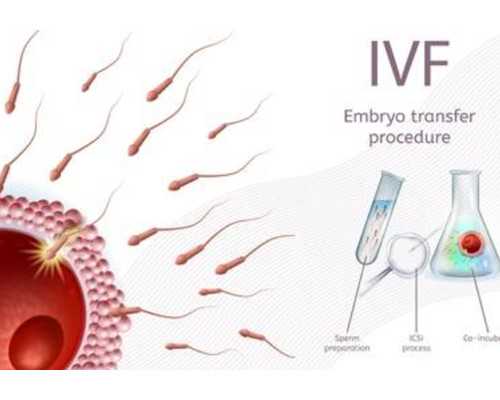 保定做试管婴儿要花多少钱