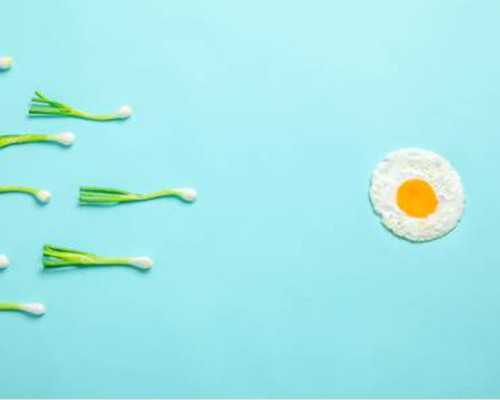 毕节市人民医院做试管要多久？一步步带你了解全过程