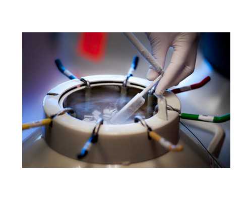 上海做第三代试管婴儿要花多少钱？这份费用清单给你参考