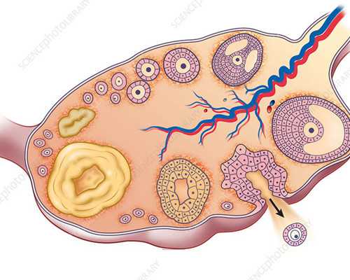 在广州找助孕公司，怎么挑才放心？