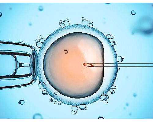 广州有哪些靠谱的助孕公司？