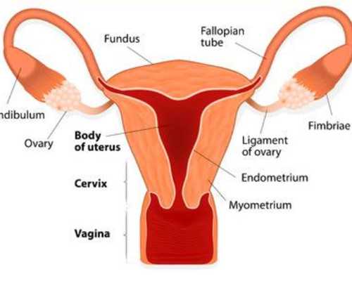 早孕试纸的正确用法，这些细节你可能不知道