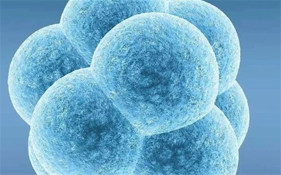 为什么有人供卵试管一次就成功？关键细节首次公开