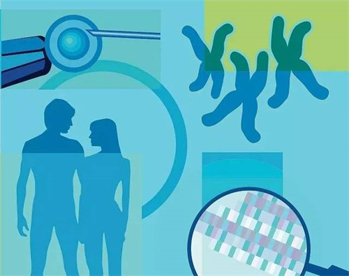 从促排方案优化入手，提高2026供卵试管单次成功率的实操指南！