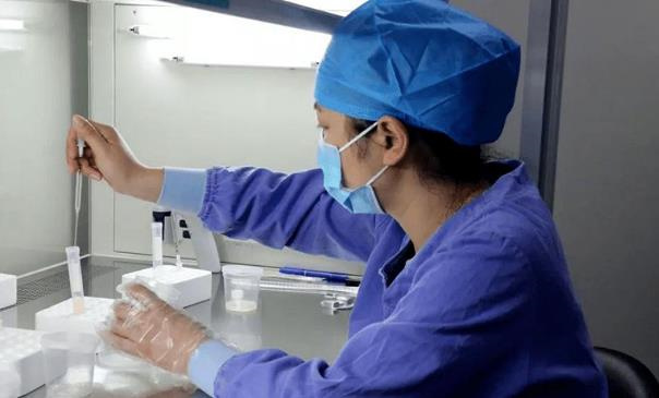胚胎解冻移植全流程拆解！从实验室复苏到着床的5个关键步骤