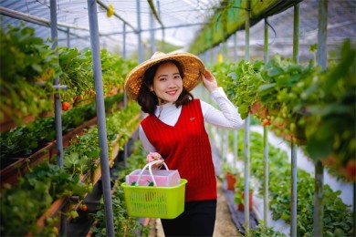湖北试管婴儿补贴怎么申请？条件和流程都在这儿了